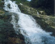 长泰明天天气